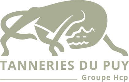 Logo Les tanneries du Puy